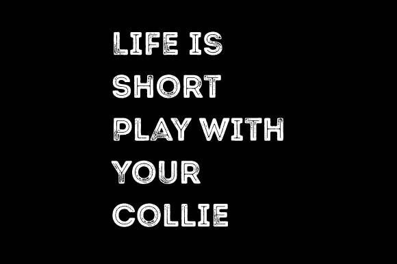 Collie Dog SVG for T-Shirt Designs and Graphics